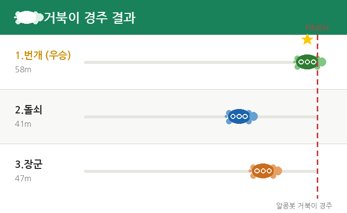 거북이 경주 결과